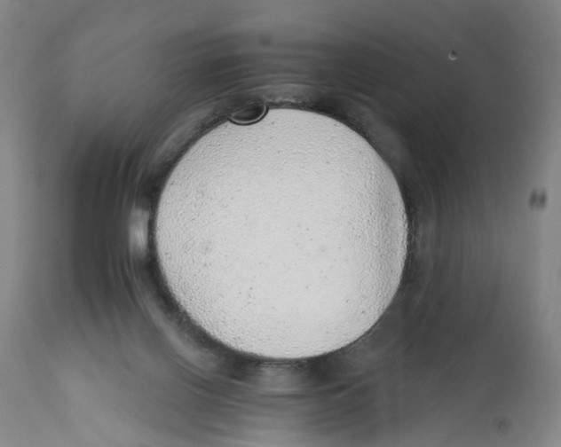 X0000111940070200908241150