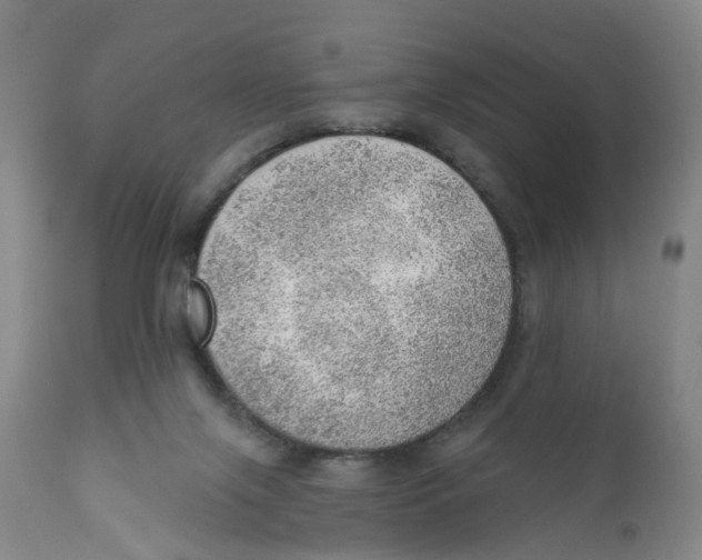 X0000111940071200908241150