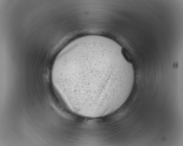 X0000111940072200908241150