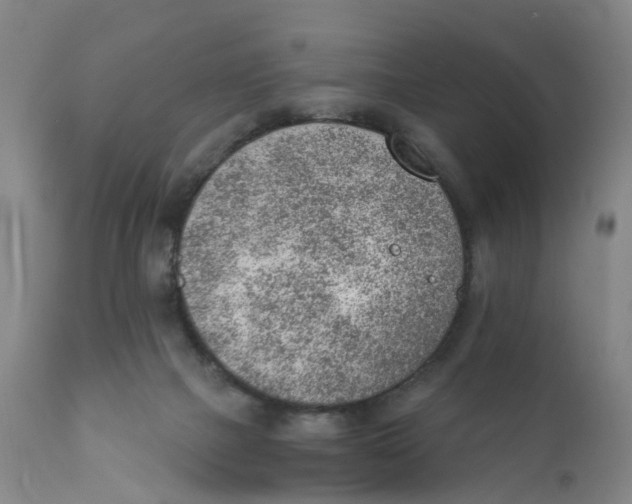 X0000111940073200908241150