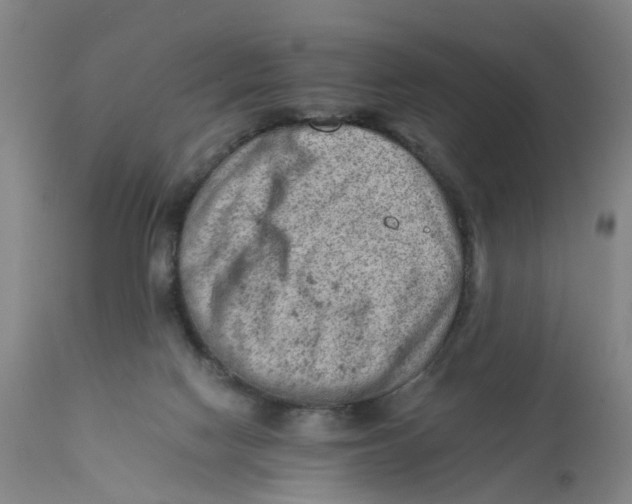 X0000111940074200908241150