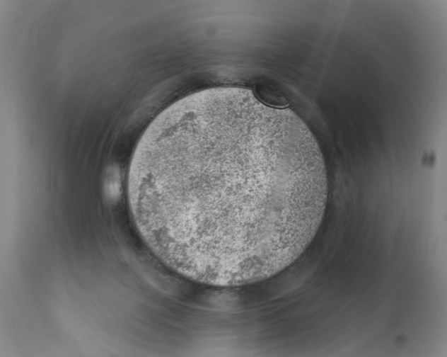 X0000111940075200908241150