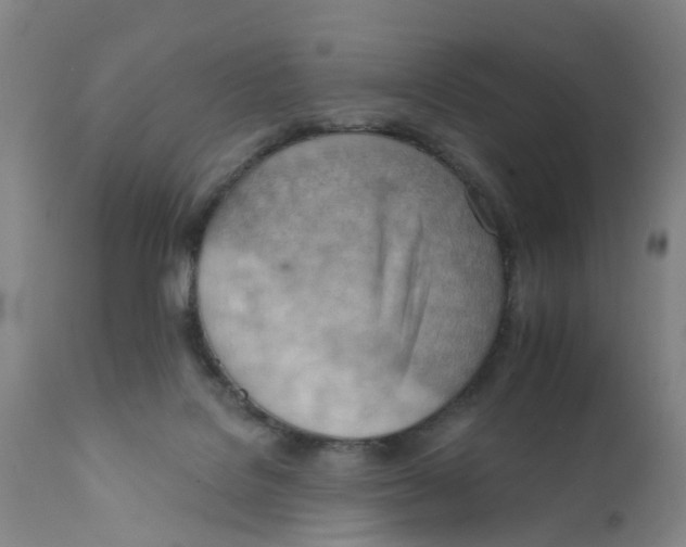 X0000111940076200908241150