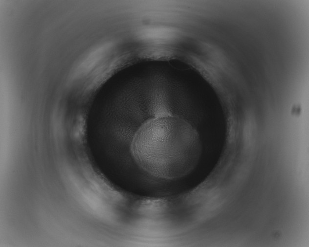 X0000111940077200908241150