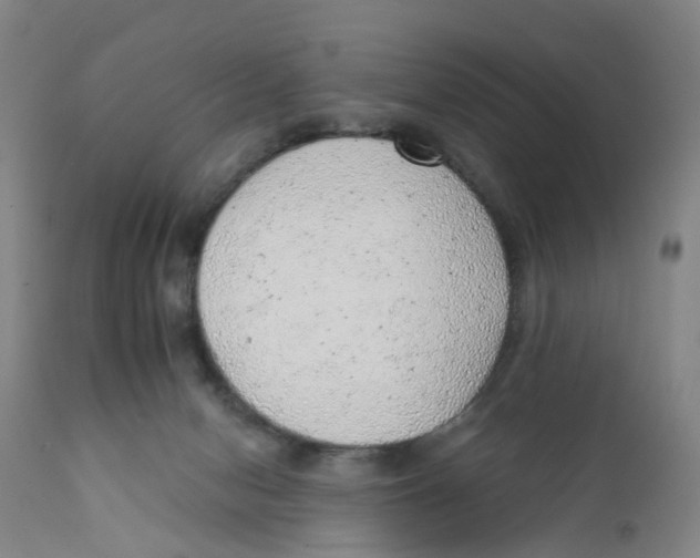 X0000111940078200908241150