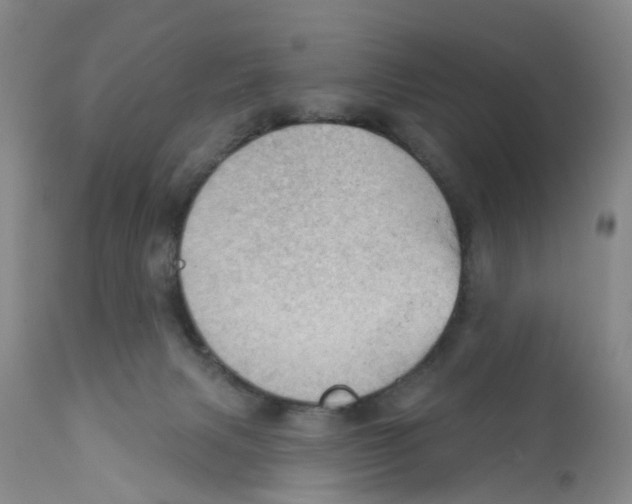 X0000111940079200908241150