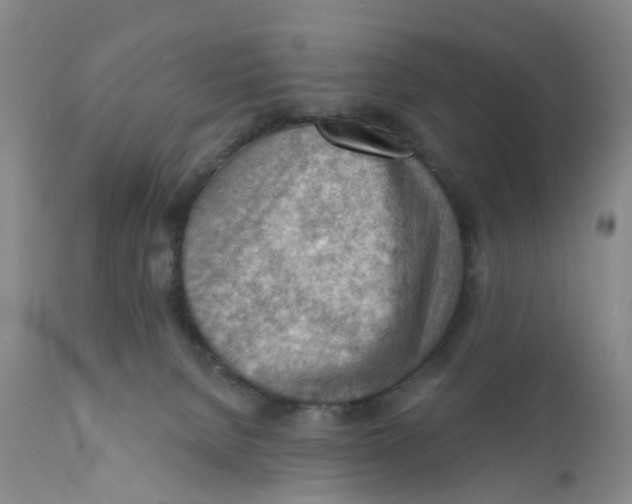 X0000111940080200908241150