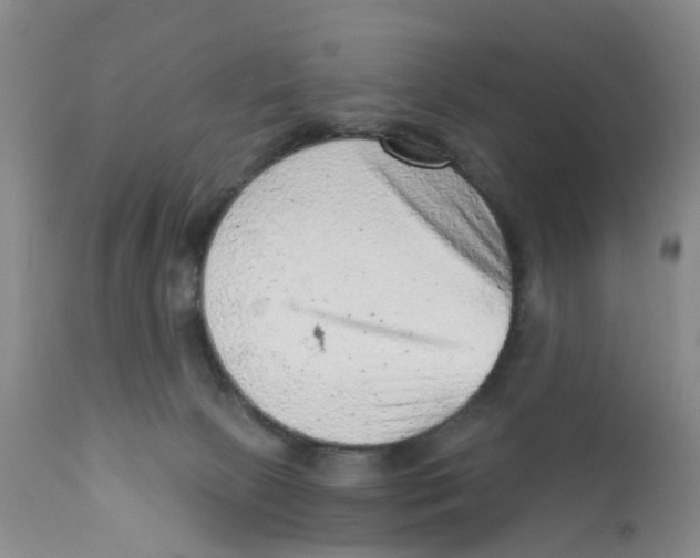 X0000111940081200908241150
