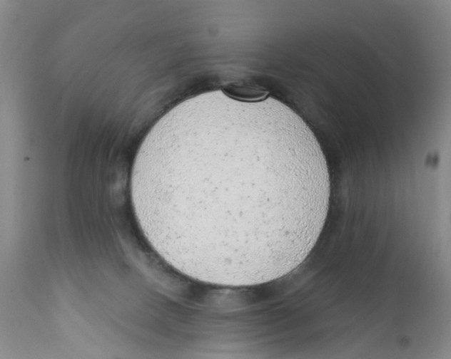 X0000111940082200908241150
