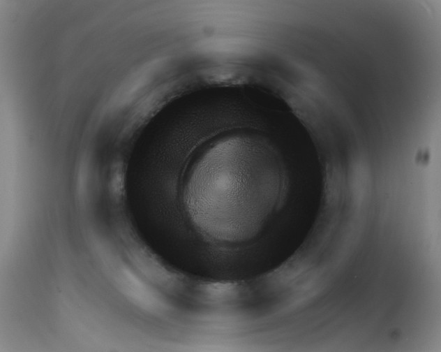X0000111940085200908241150