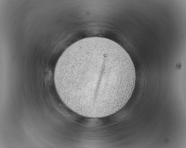 X0000111940087200908241150