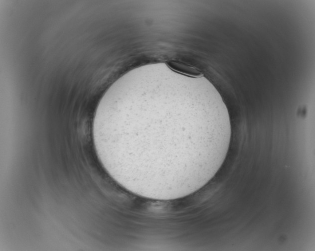X0000111940088200908241150