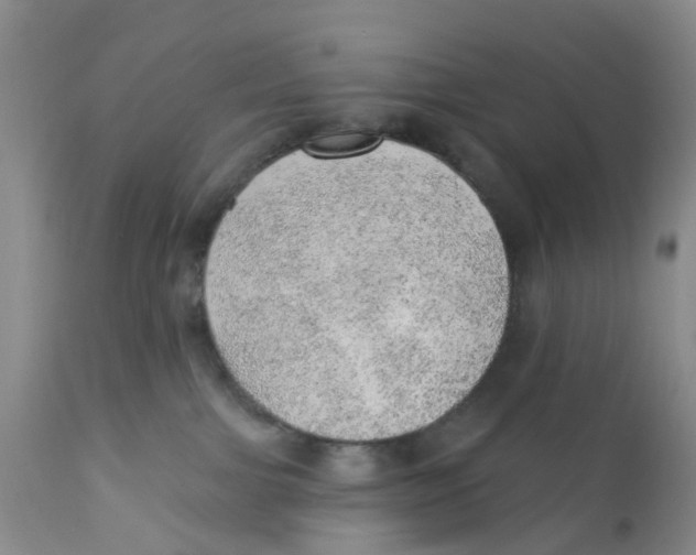 X0000111940091200908241151
