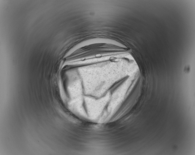 X0000111940092200908241151
