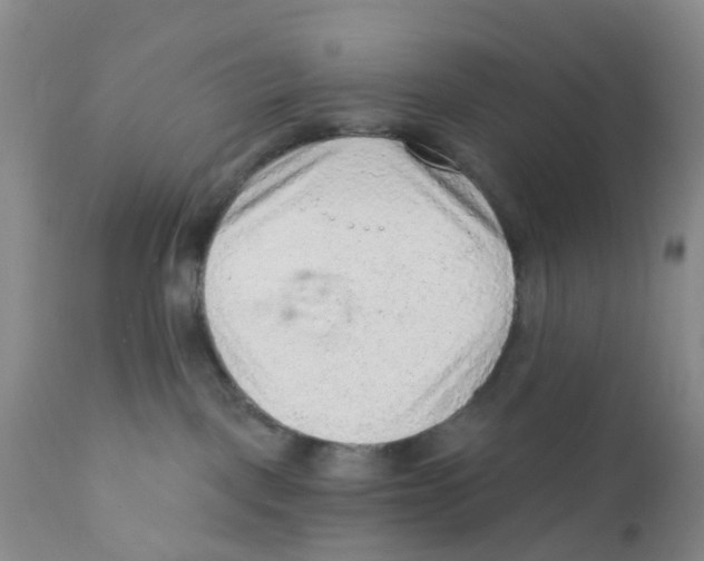 X0000111940093200908241151