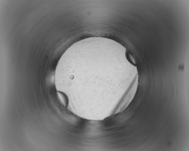 X0000111940095200908241151