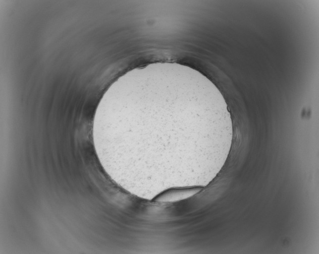 X0000111940096200908241151