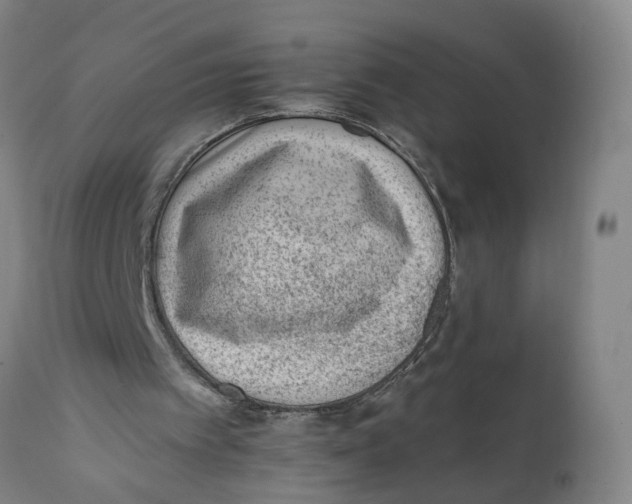 X0000111940097200908241150