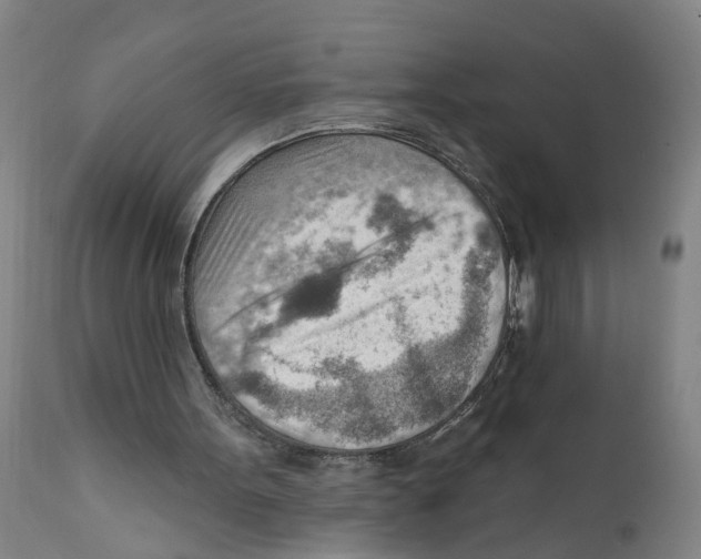 X0000111940099200908241150