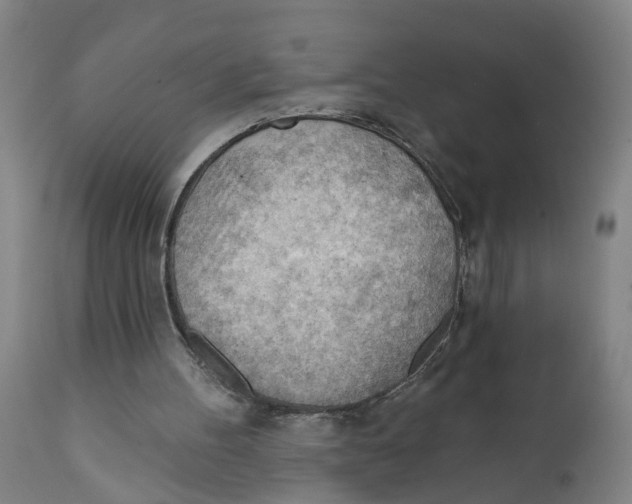 X0000111940100200908241150