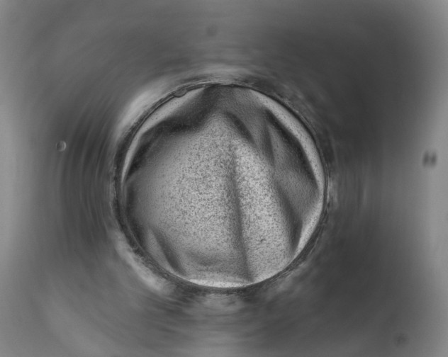 X0000111940101200908241150