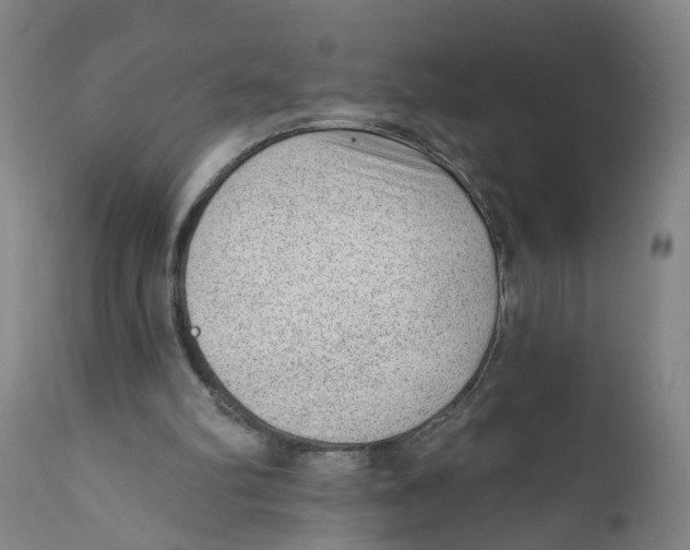 X0000111940102200908241150