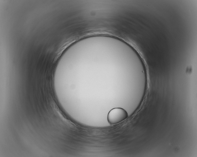 X0000111940105200908241150
