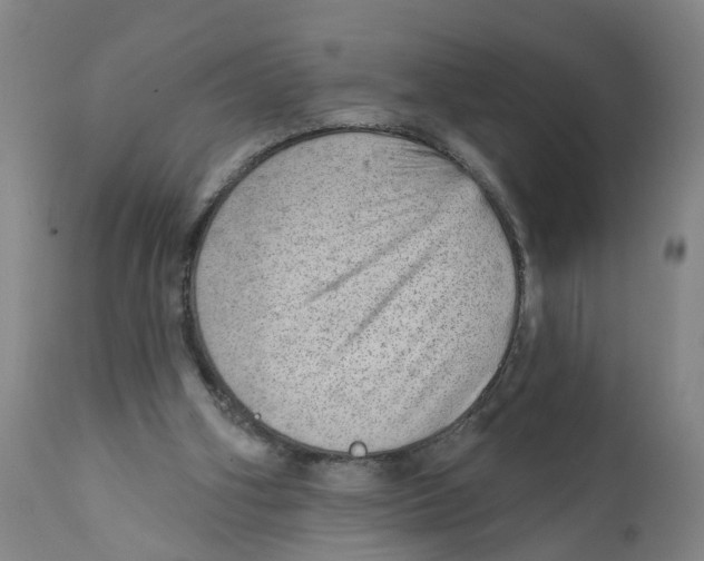 X0000111940106200908241150