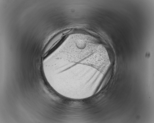 X0000111940107200908241150