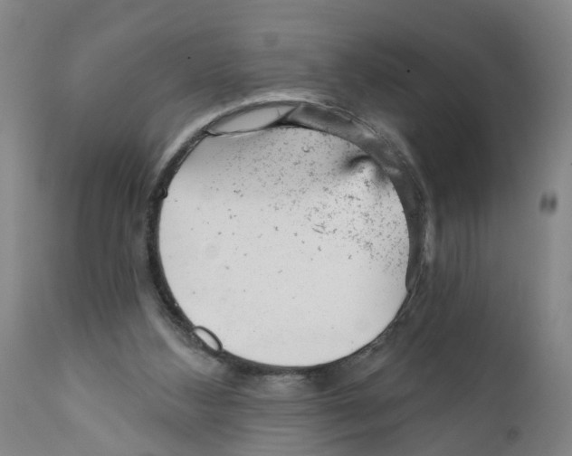 X0000111940108200908241150