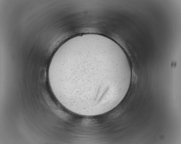 X0000111940109200908241150