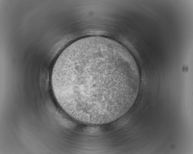 X0000111940110200908241150
