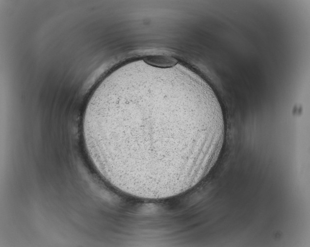 X0000111940111200908241150