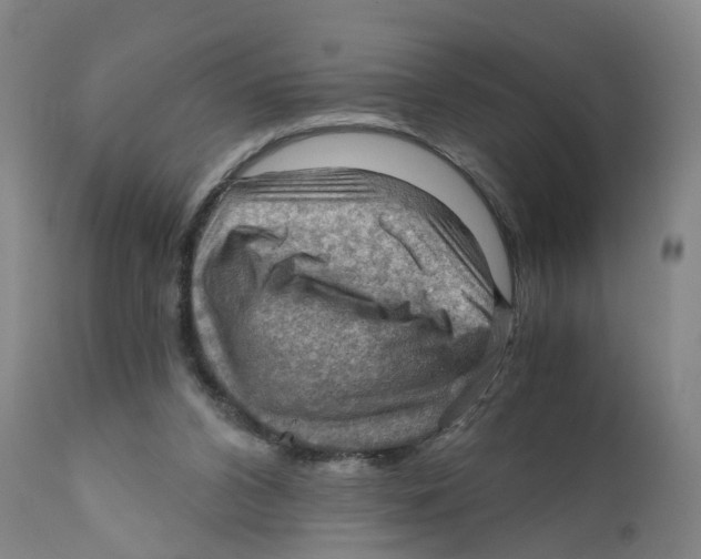 X0000111940112200908241150