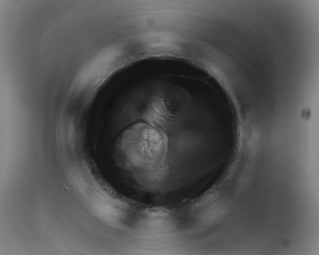X0000111940113200908241150