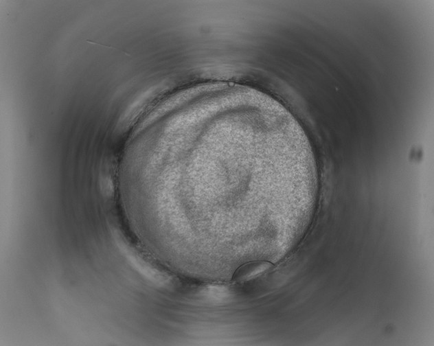 X0000111940114200908241150