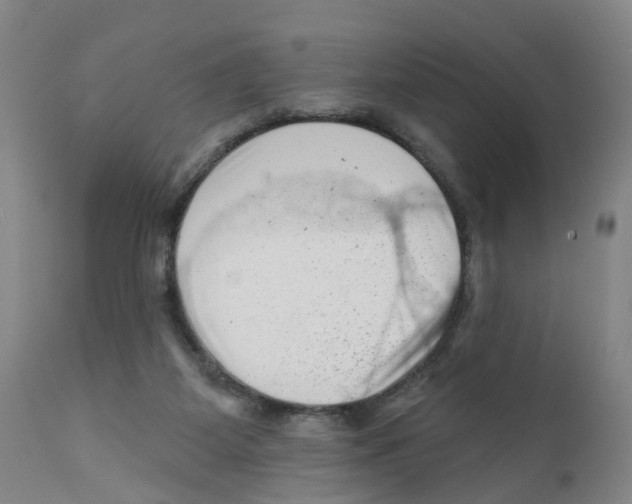 X0000111940115200908241150