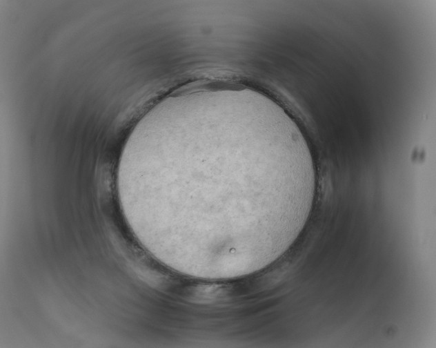 X0000111940117200908241149