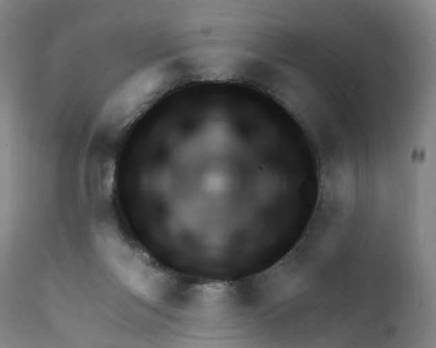 X0000111940118200908241149