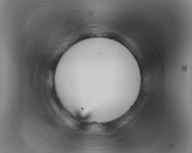 X0000111940121200908241149