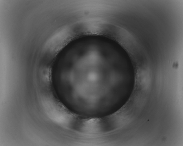 X0000111940122200908241149