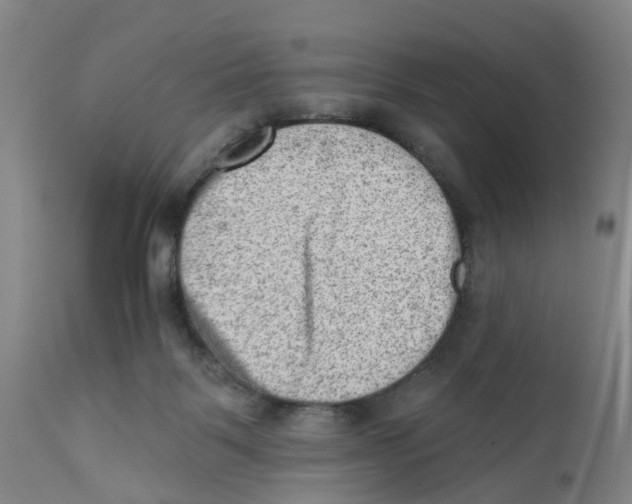 X0000111940123200908241149
