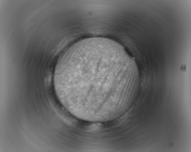 X0000111940124200908241149