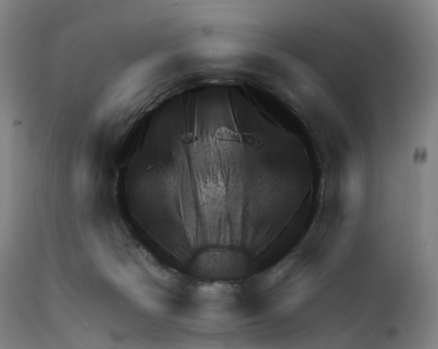 X0000111940125200908241149
