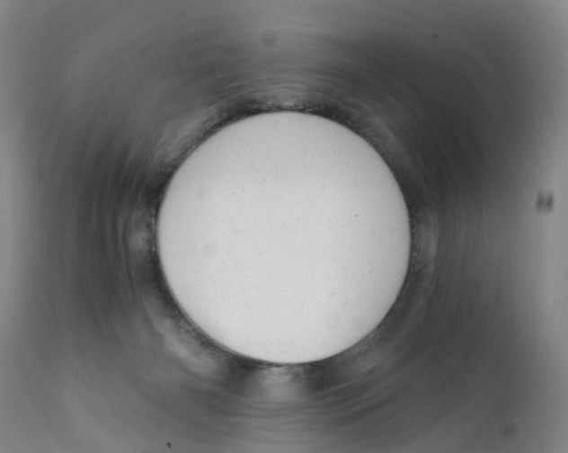 X0000111940126200908241149