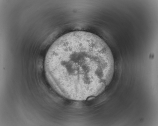 X0000111940127200908241149