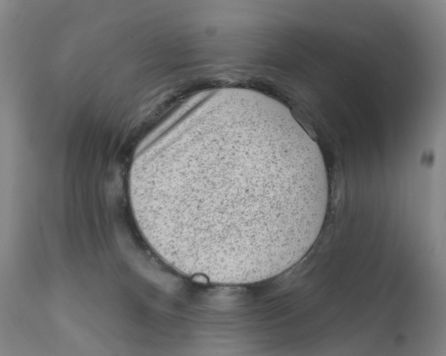 X0000111940128200908241149