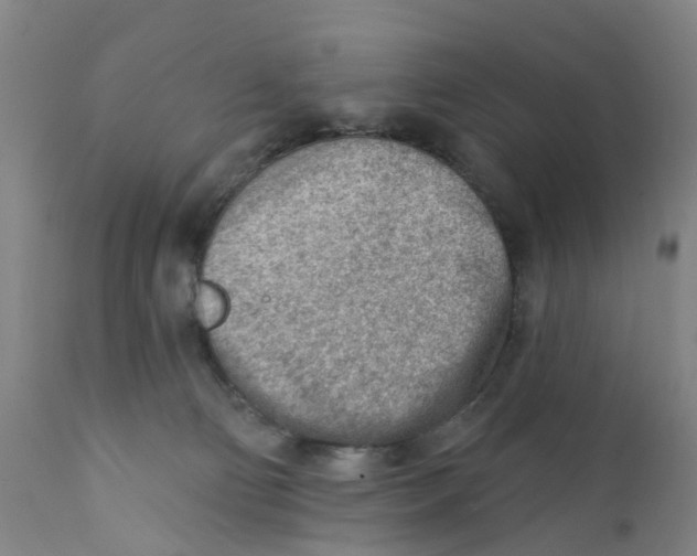 X0000111940130200908241149