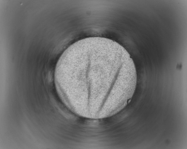 X0000111940131200908241149