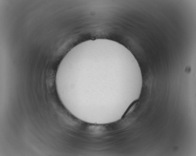 X0000111940133200908241149